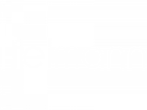 logo Fielmann